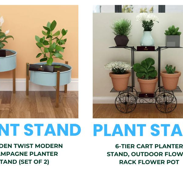 Buy Gorgeous Plant Stand for Your Home