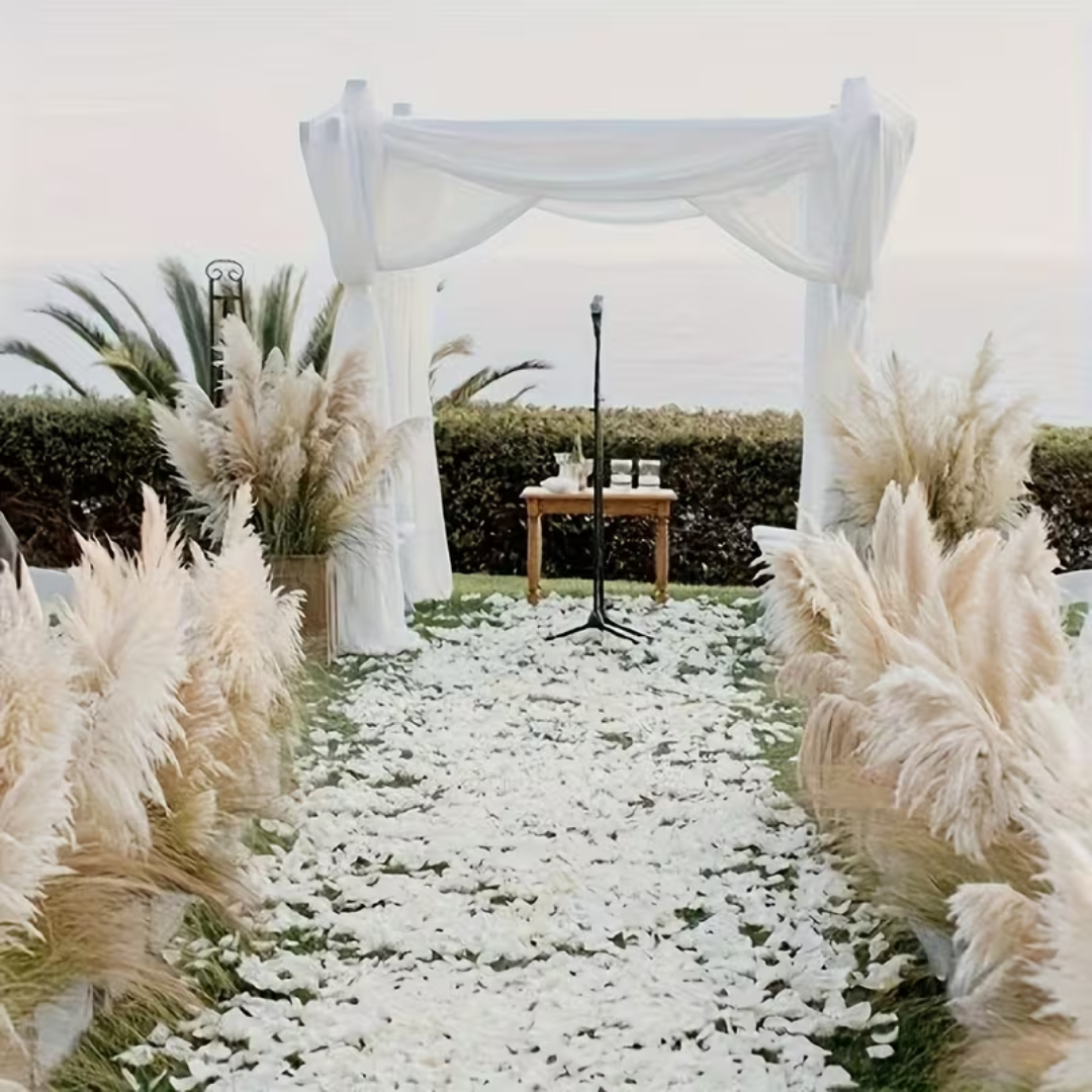 Boho Style Dried Pampas Grass