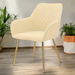 Modern cafe dining chair