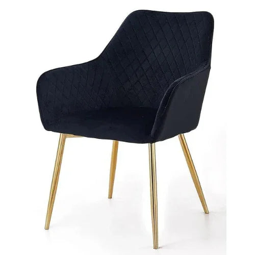 Modern cafe dining chair