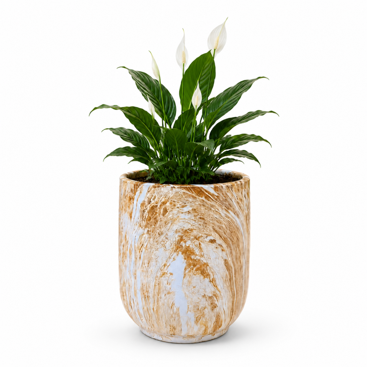 Wooden Twist Premium Round Ceramic Plant Pot for Balcony & Garden