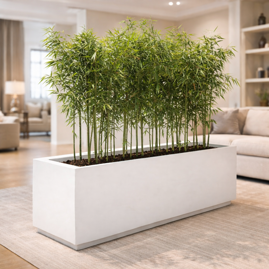 Planter Pot Premium Indoor & Outdoor