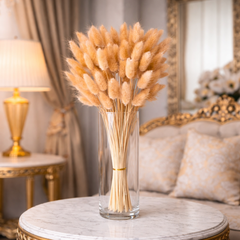 Natural Dried Bunny Tail Grass