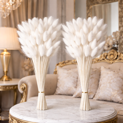 Natural Dried Bunny Tail Grass