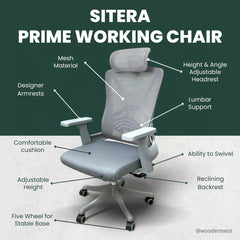 Mesh Office Chair