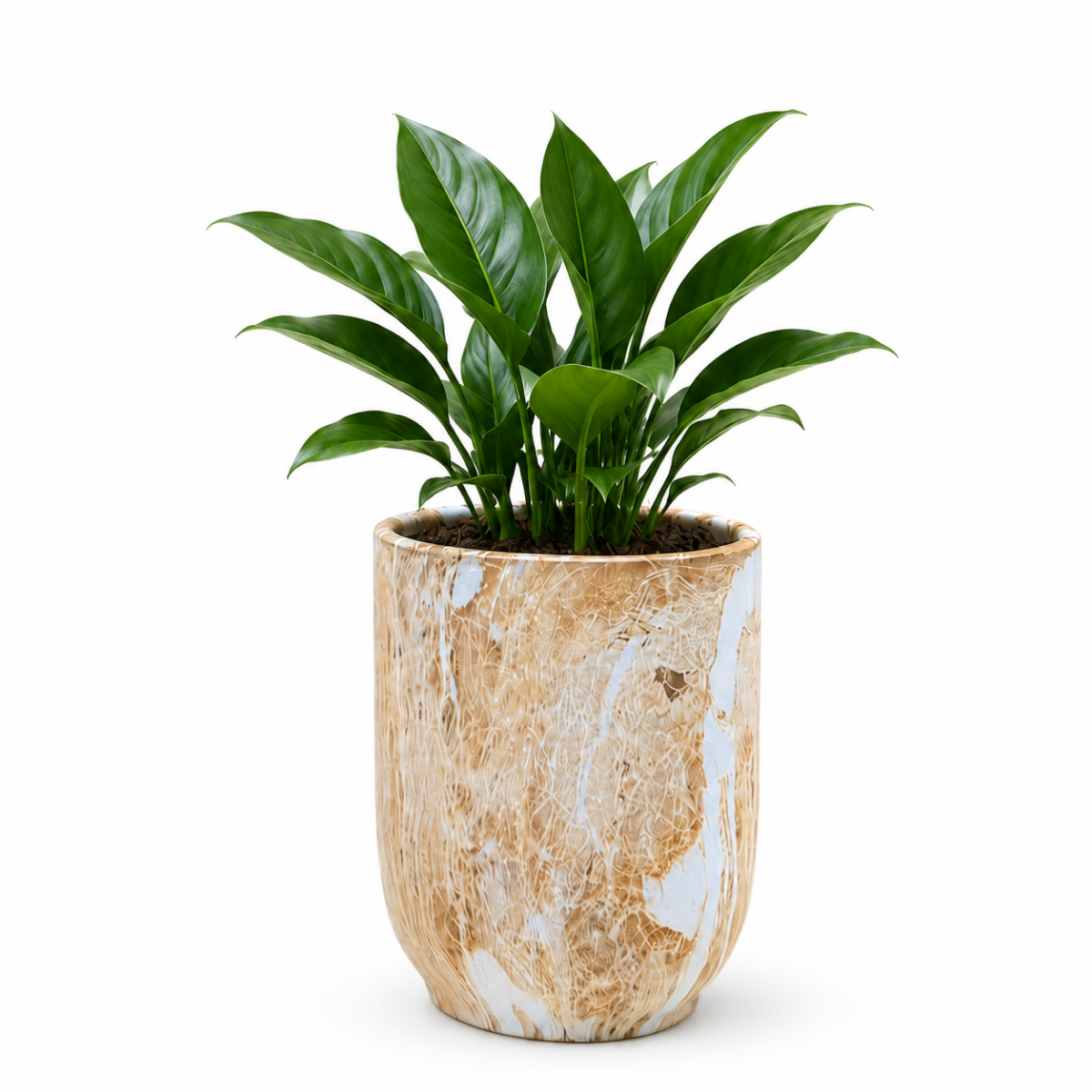 Wooden Twist Premium Round Ceramic Plant Pot for Balcony & Garden