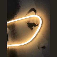 Wall painting with LED light