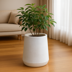 White Textured Planter Pot