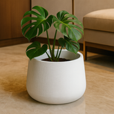 White Textured Planter Pot