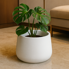White Textured Planter Pot