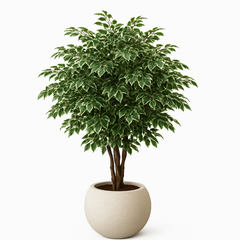 Artificial Ficus Tree