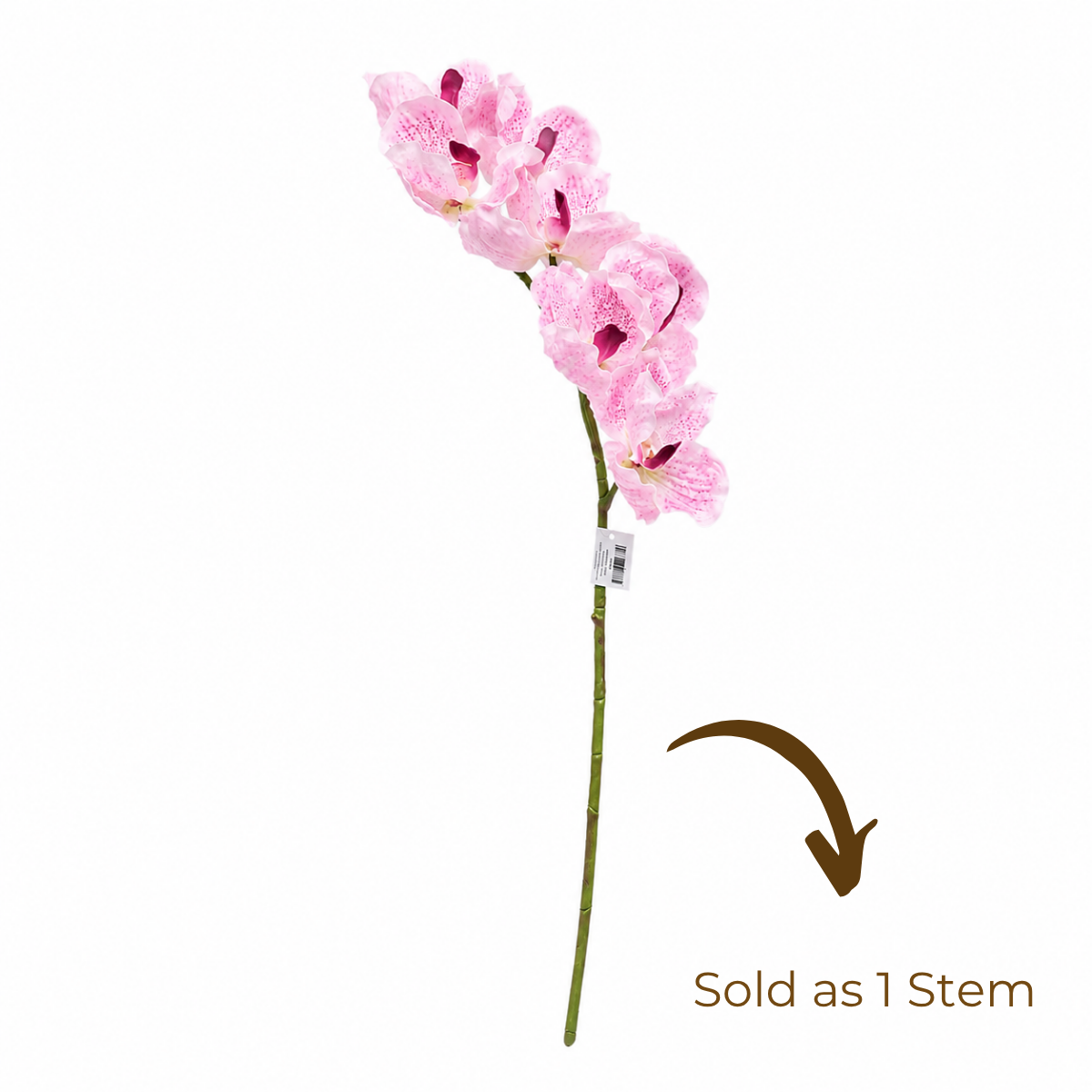 Wooden Twist Artificial Vanda Orchid Flower Stem, 80cm Faux Silk Orchid Spray for Home & Office Decor