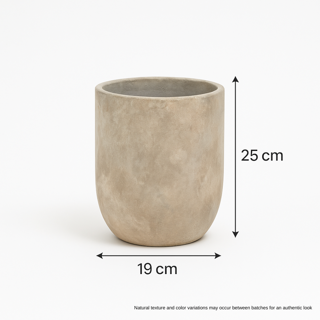 Pots & Planters