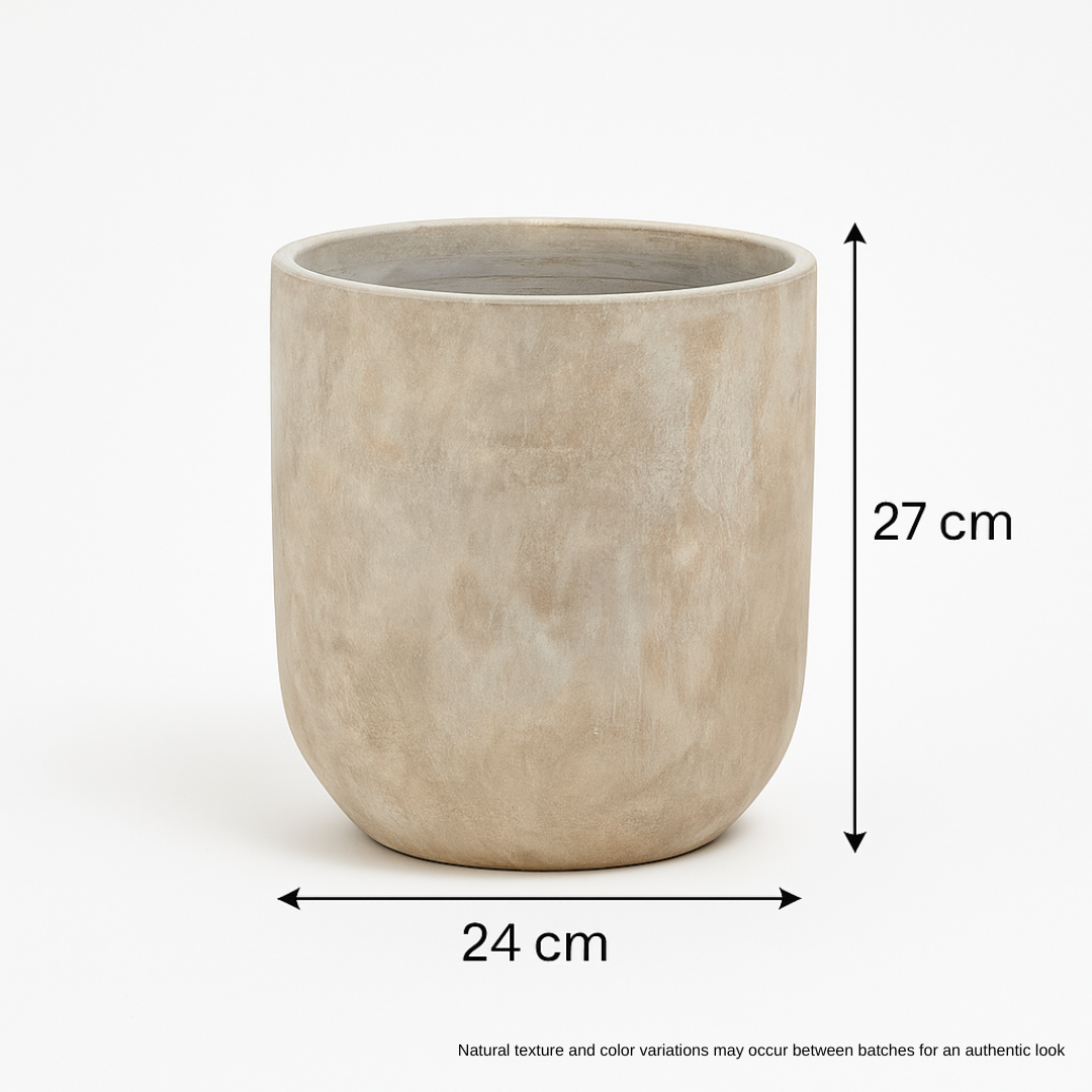 Pots & Planters