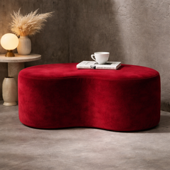 Shoe Changing Stool Bench Ottoman