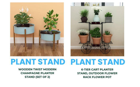 Plant Stand Designs: Elevate Your Plant Display