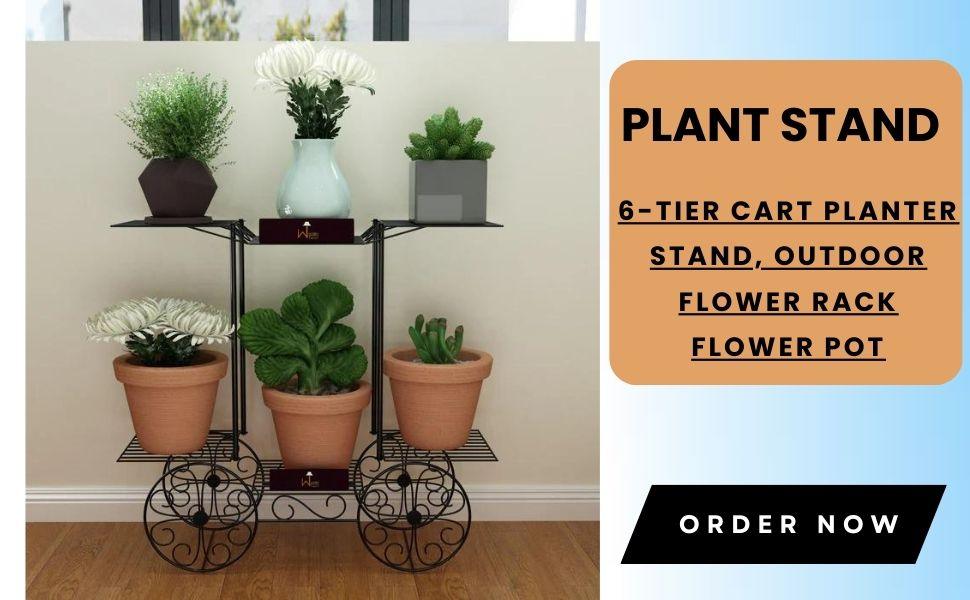 Pots &amp; Planters