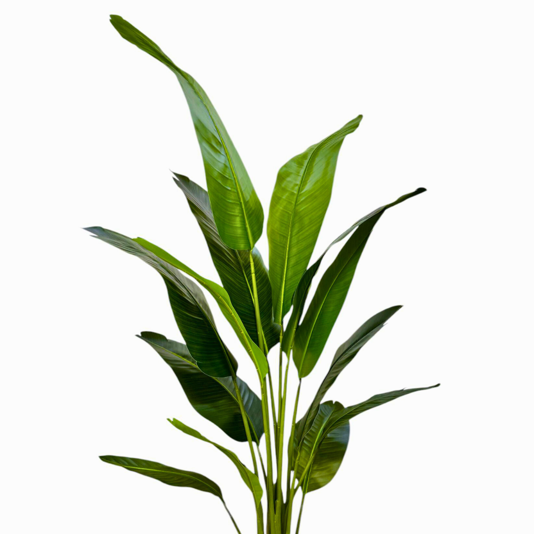 Artificial Bird of Paradise Plant