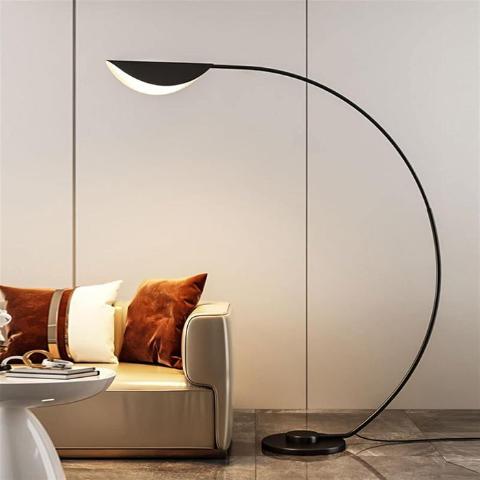 Modern Parabolic Floor Lamp in Black
