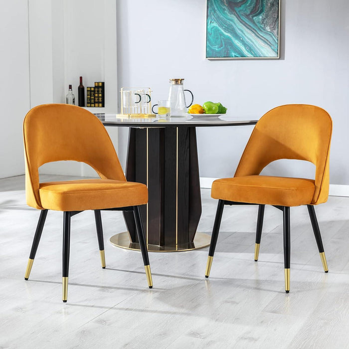Wooden Twist Modern Stylish Loop Backrest Velvet Upholstery Cafe Dining Chairs with Metal Legs (Set of 2) - Wooden Twist UAE