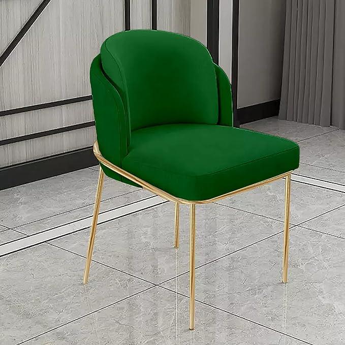 Wooden Twist Voguish Modern Cafe Dining Chair Metal Legs