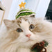 Pet Christmas Handmade Woolen Hat Pet Hat - Wooden Twist UAE