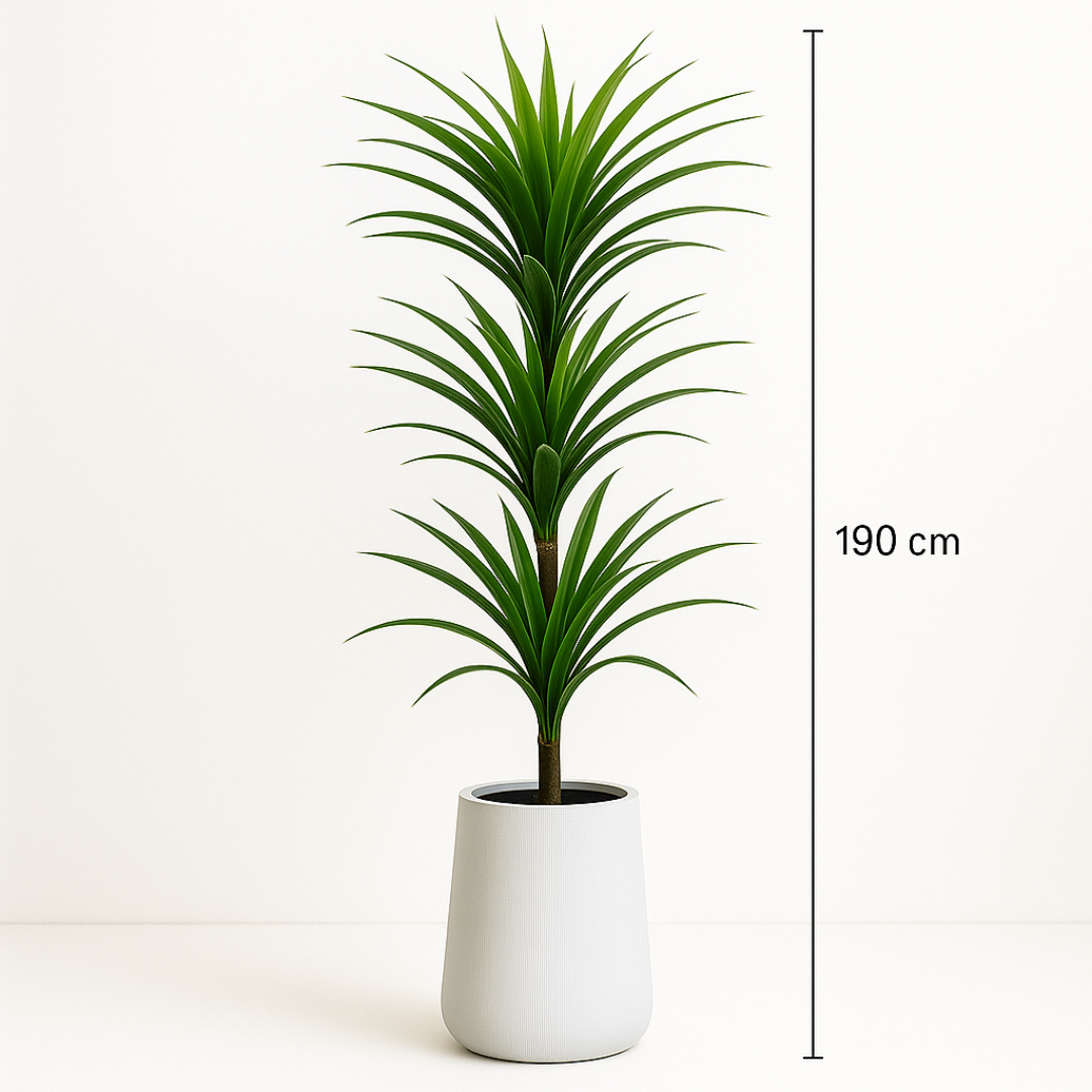Artificial Dracaena Reflexa Plant
