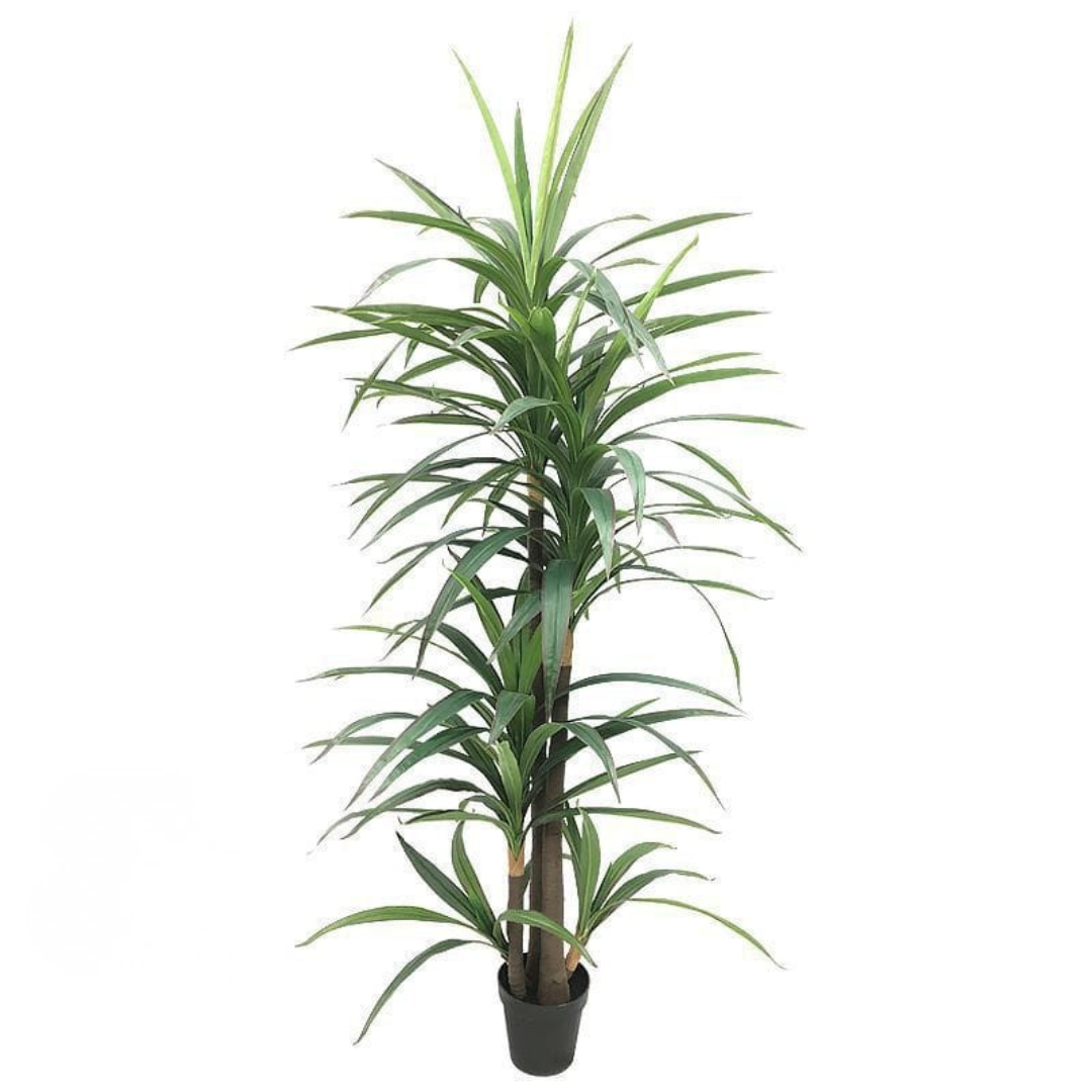 Artificial Dracaena Reflexa Plant