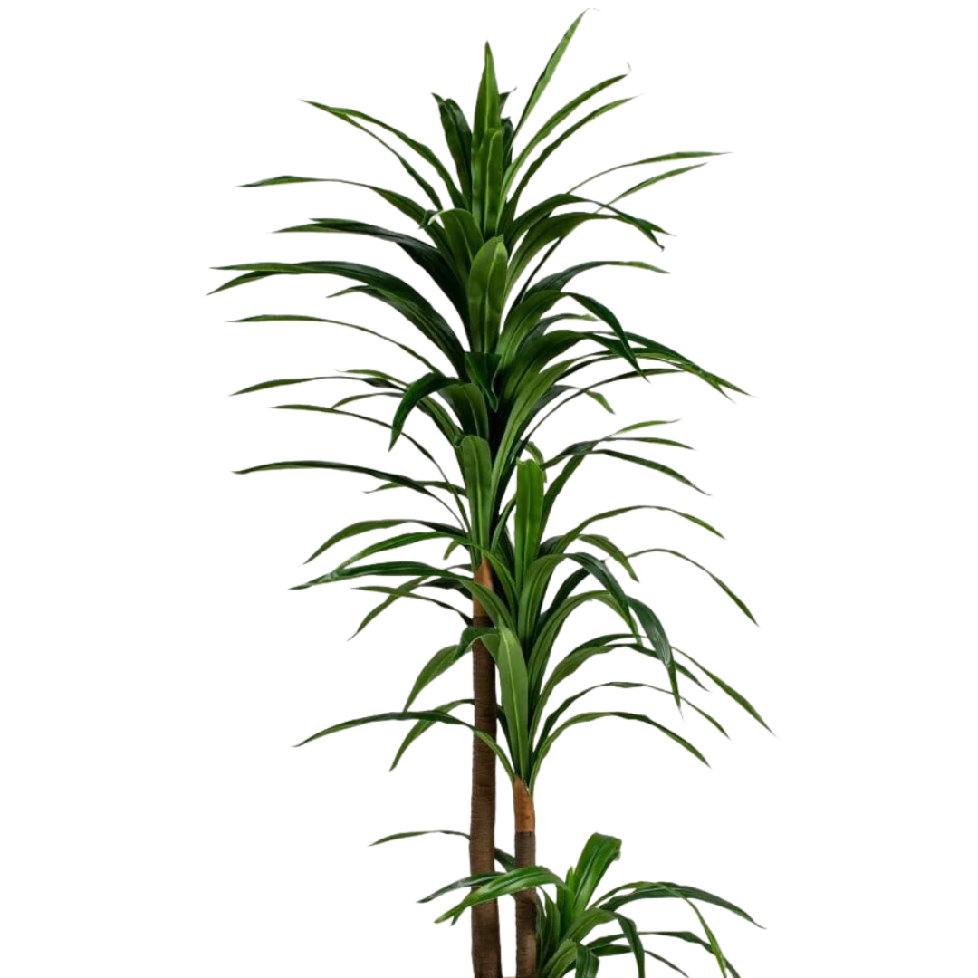 Artificial Dracaena Reflexa Plant