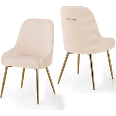 Modern Dining Chair