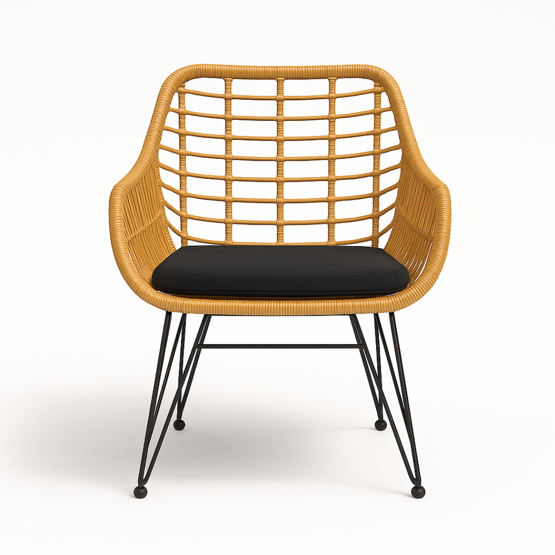 Modern Outdoor Chair 