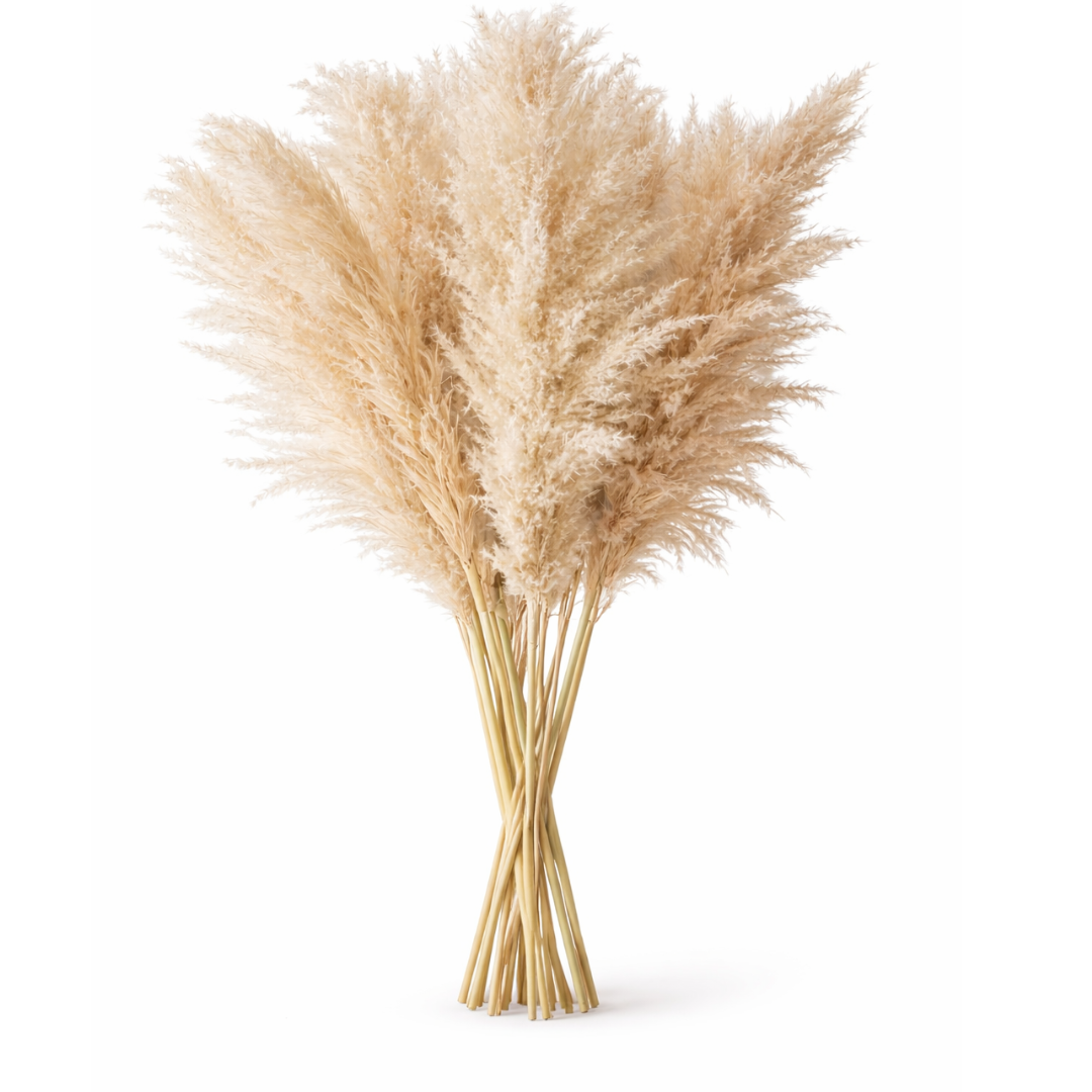 Boho Style Dried Pampas Grass