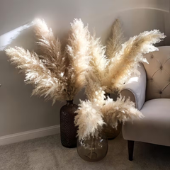 Boho Style Dried Pampas Grass
