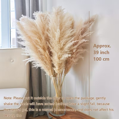 Boho Style Dried Pampas Grass