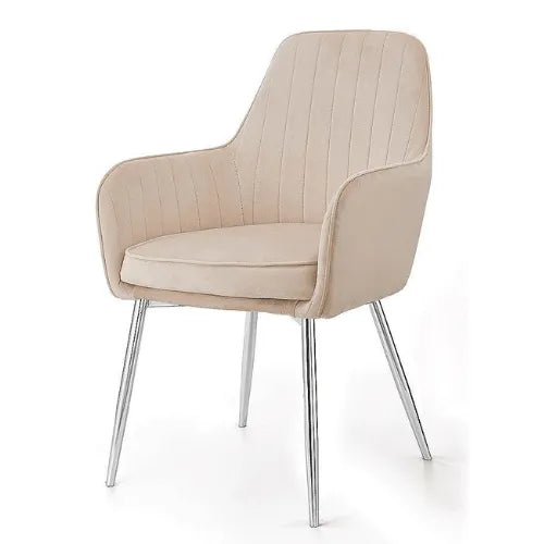 Modern Cafe Dining Chair