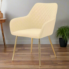 Modern cafe dining chair