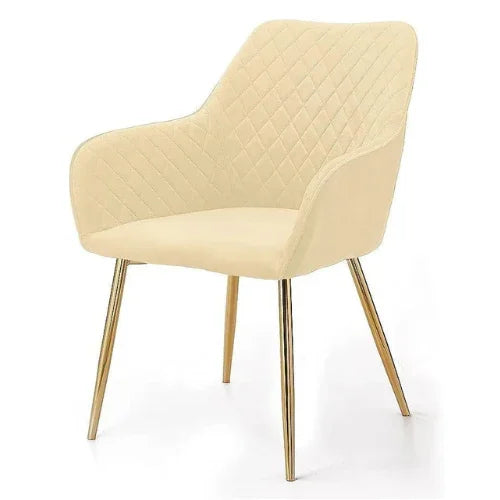 Modern cafe dining chair