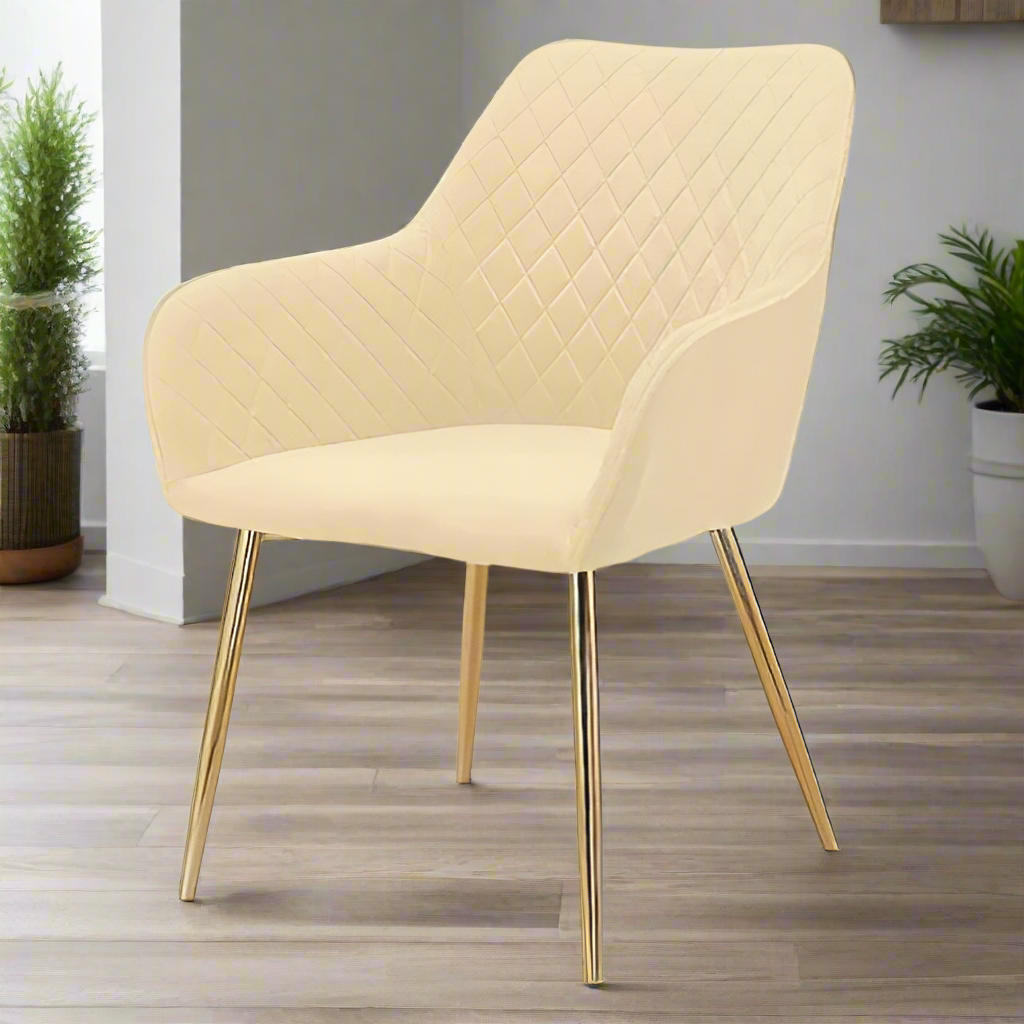 Modern cafe dining chair