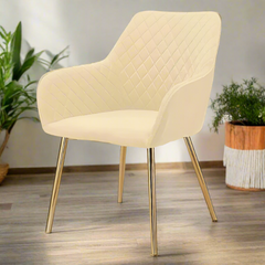 Modern cafe dining chair