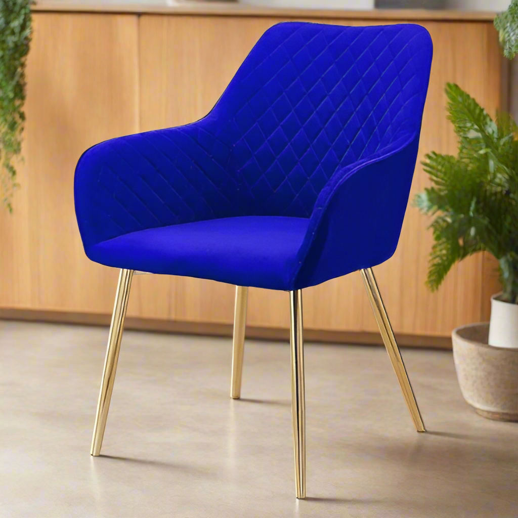 Modern cafe dining chair