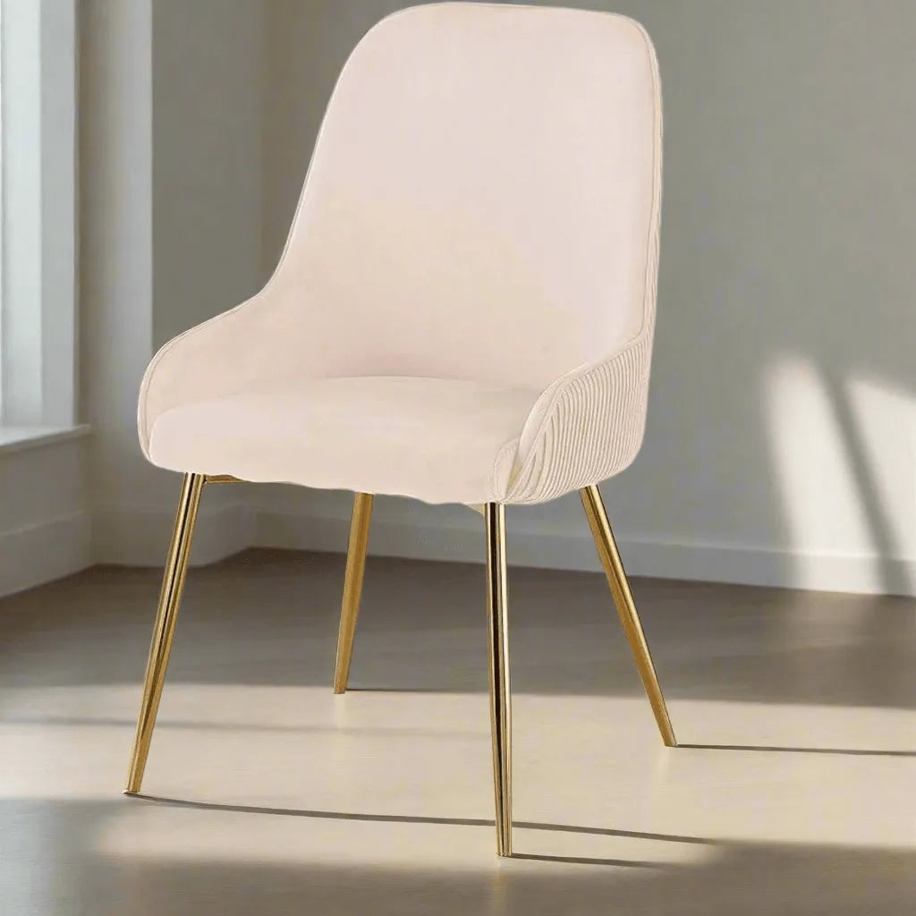 Dining Chair Wih Metal Legs