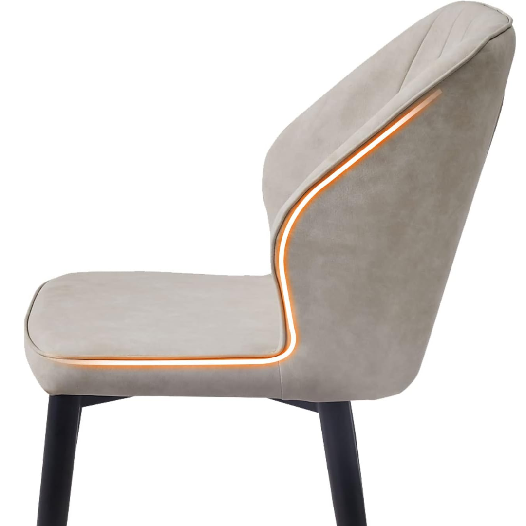 Modern Cafe Dining Chair