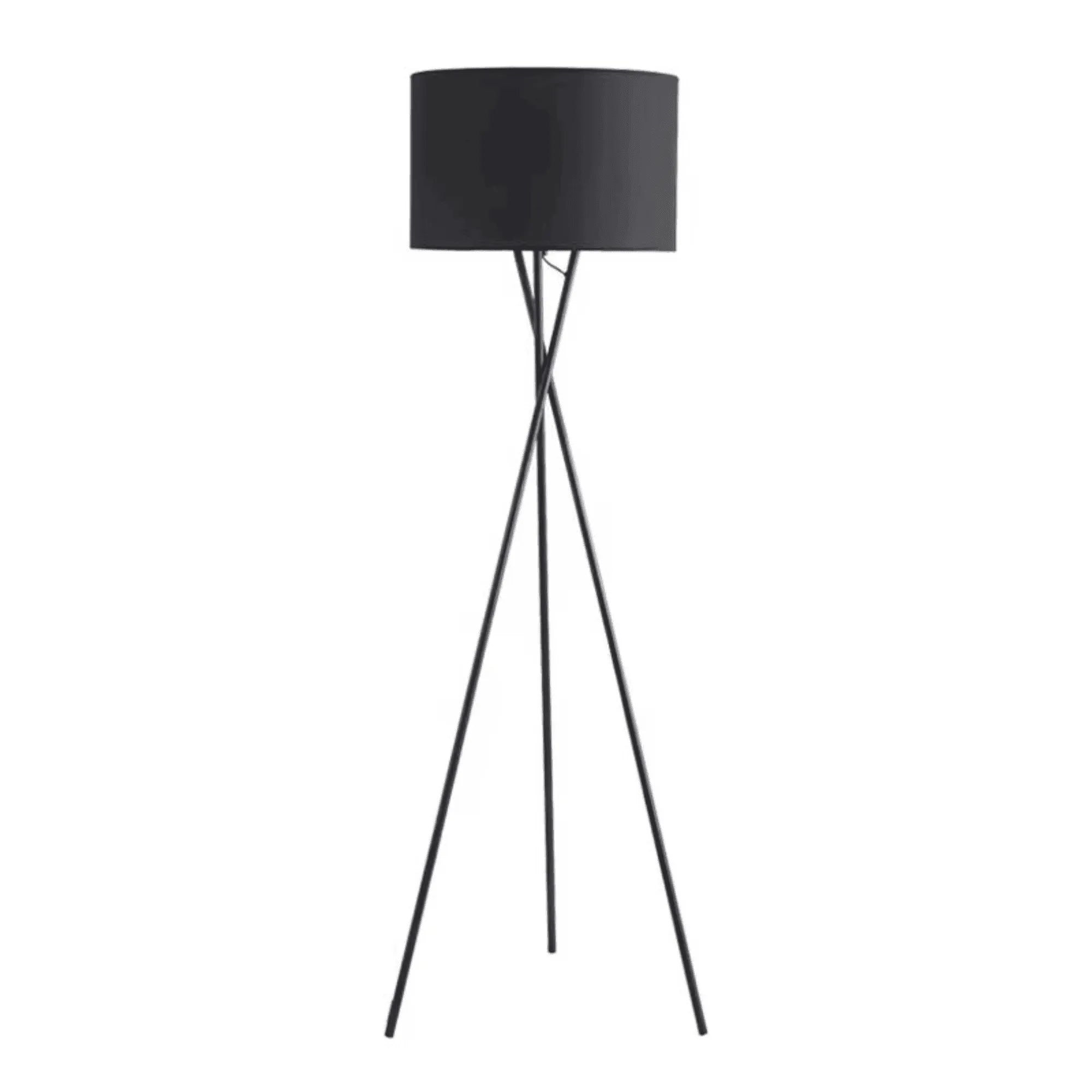 Modern Metal Floor Lamp