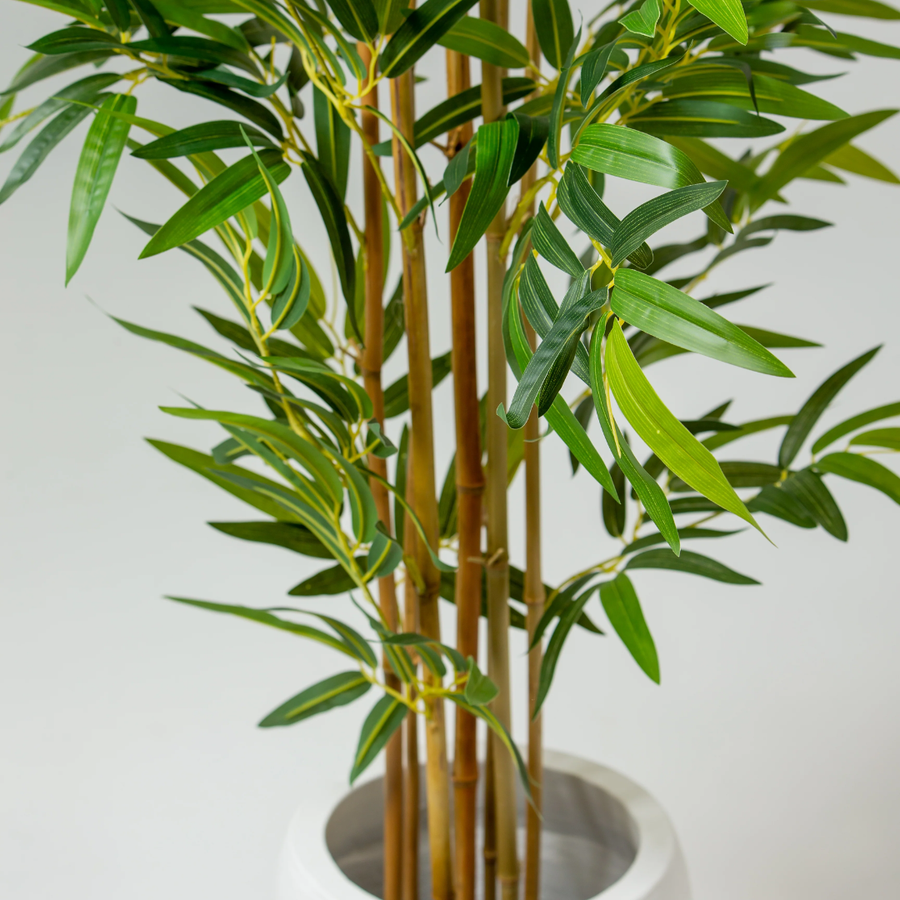 UV-Resistant Leaves and a Sturdy Base