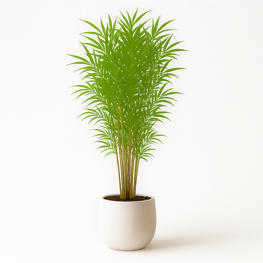 Always Green, No Watering Required