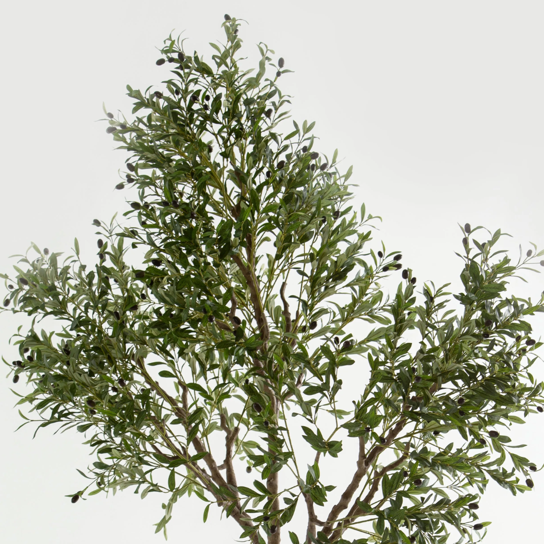 Luxury Artificial Olive Plant