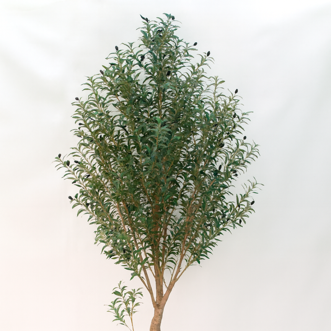 Luxury Artificial Olive Plant