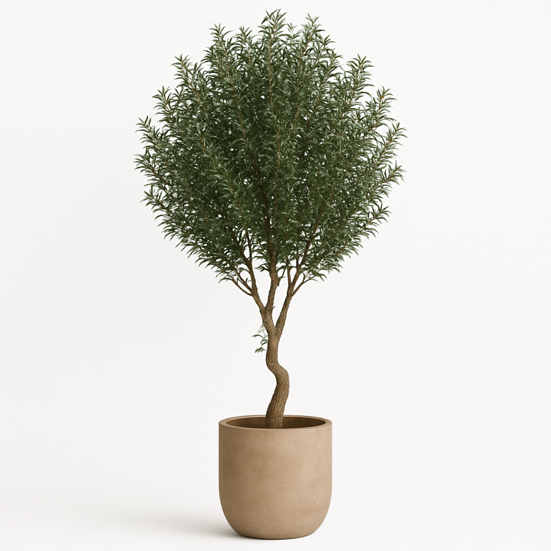 Luxury Artificial Olive Plant