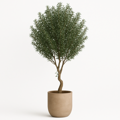Luxury Artificial Olive Plant