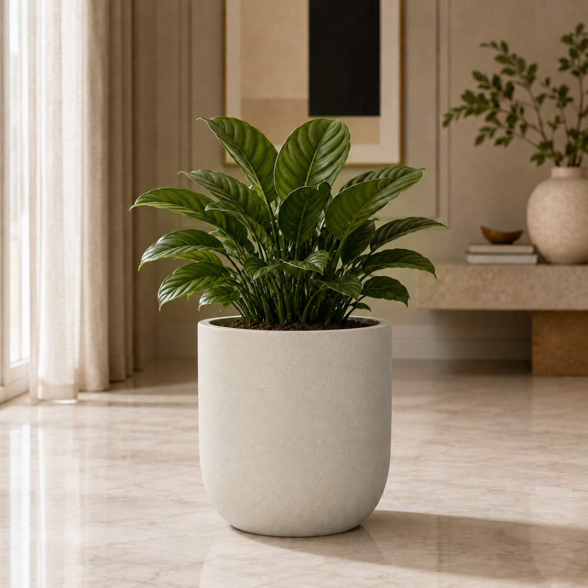 Medium Fiberglass Planter with Green Plant – Indoor Pot Dubai – Wooden Twist UAE